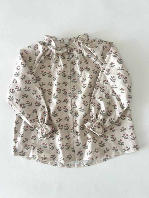 Camisa circus cherry